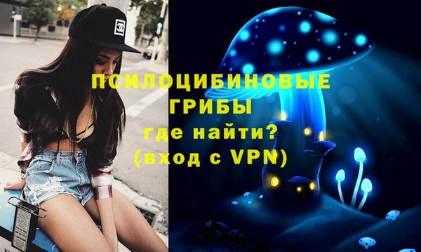 амф Абдулино