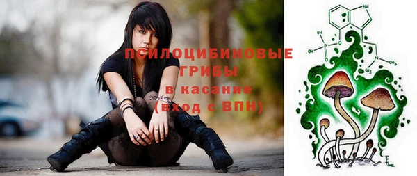 гидра Валдай